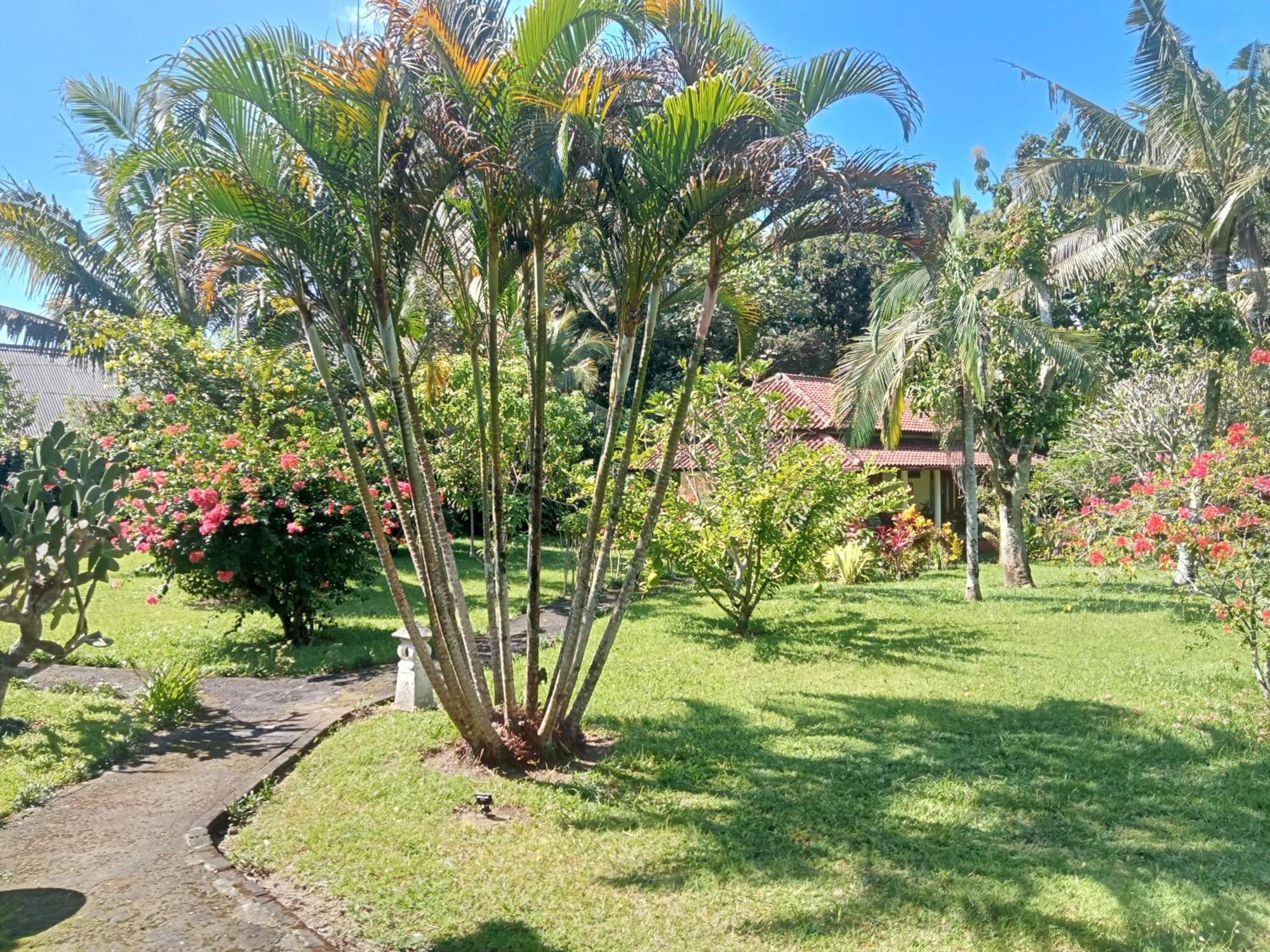 Kalibaru Guesthouse Rumah Senang מראה חיצוני תמונה